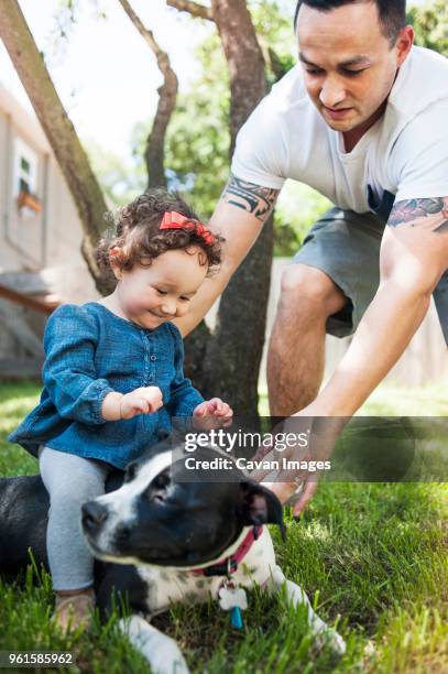 father assisting girl sitting on dog in backyard - genderblend2015 stock pictures, royalty-free photos & images