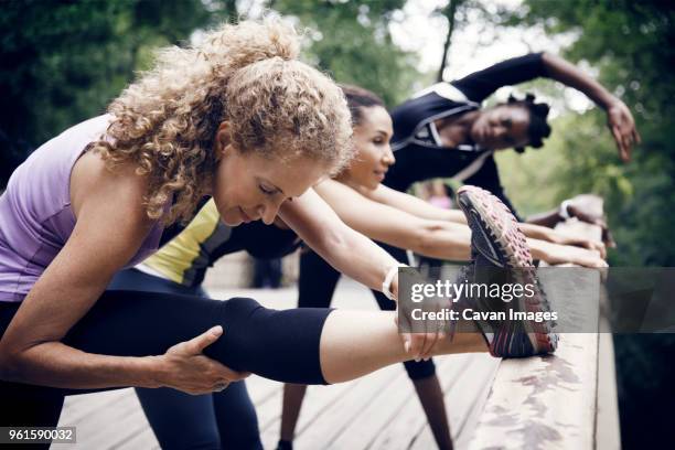 female friends exercising on bridge at central park - buigen lichaamsbeweging stockfoto's en -beelden