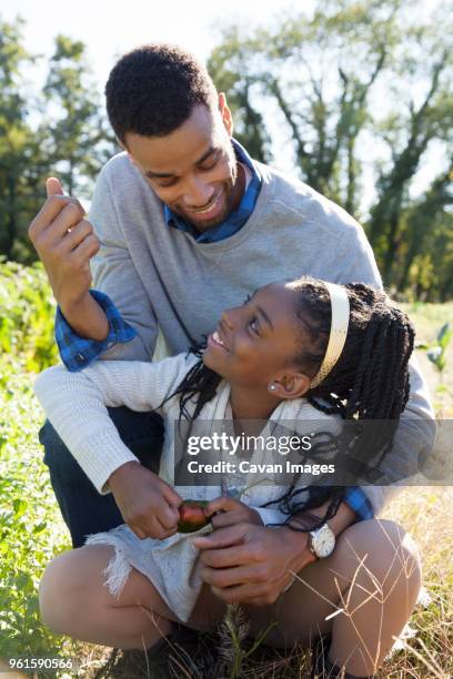 cheerful father and daughter enjoying at farm on sunny day - genderblend2015 stock pictures, royalty-free photos & images