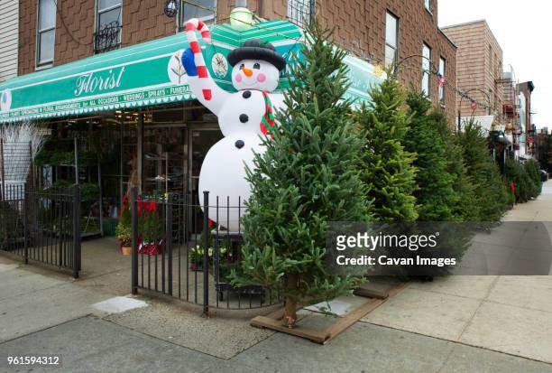 snowman and christmas trees outside store - claus lange stock pictures, royalty-free photos & images