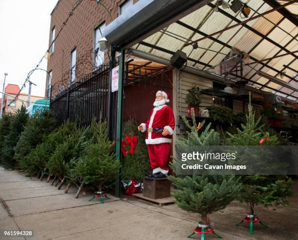 christmas trees displayed on footpath outside store - claus lange stock pictures, royalty-free photos & images