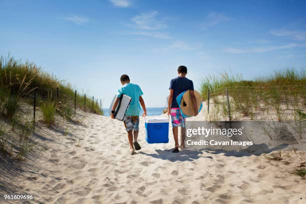 rear view of brothers carrying cooler while walking at beach - クーラーボックス ストッ�クフォトと画像