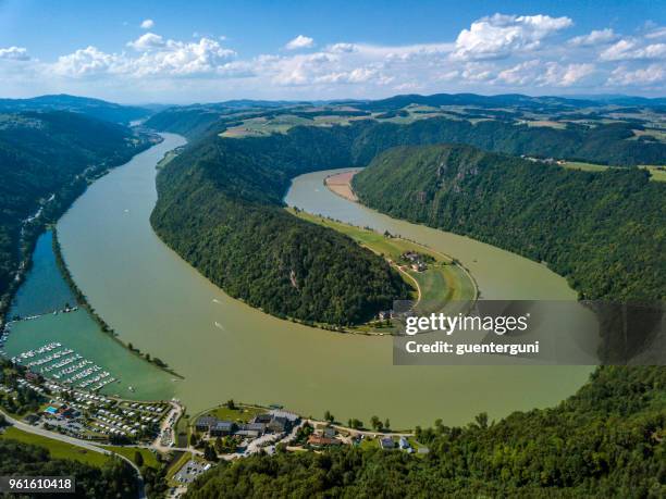 schloegener schlinge, danubio, austria septentrional - danube river fotografías e imágenes de stock