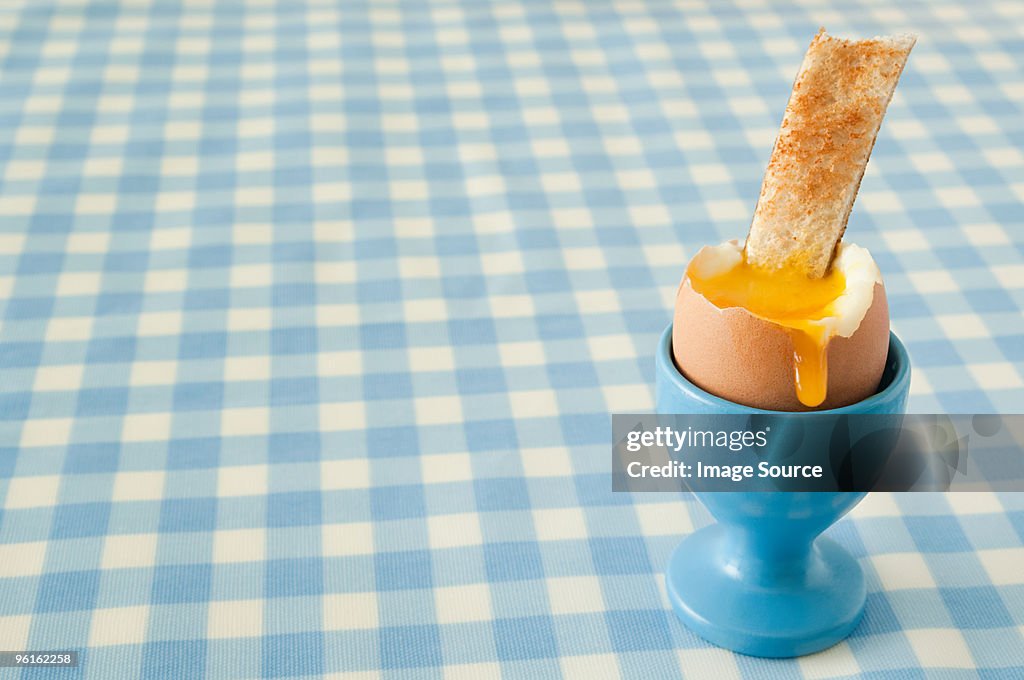 Boiled egg and toast