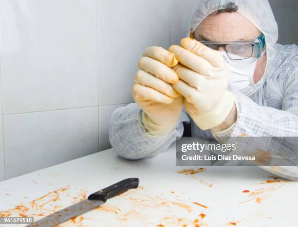 forensic investigator investigating - criminal offense stock pictures, royalty-free photos & images