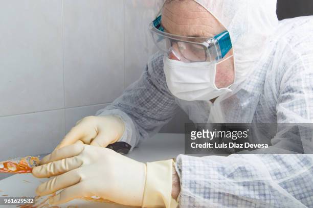 forensic investigator investigating - criminal offense stock pictures, royalty-free photos & images