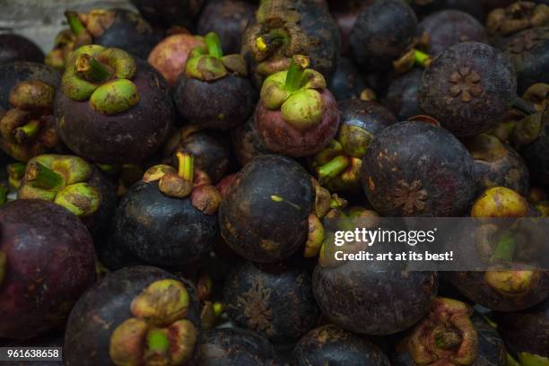 mangosteens - kota bharu stock-fotos und bilder