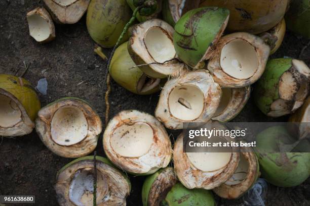 coconuts shells - kota bharu stock pictures, royalty-free photos & images