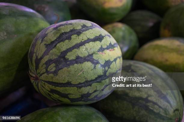 water melons - kota bharu stock pictures, royalty-free photos & images