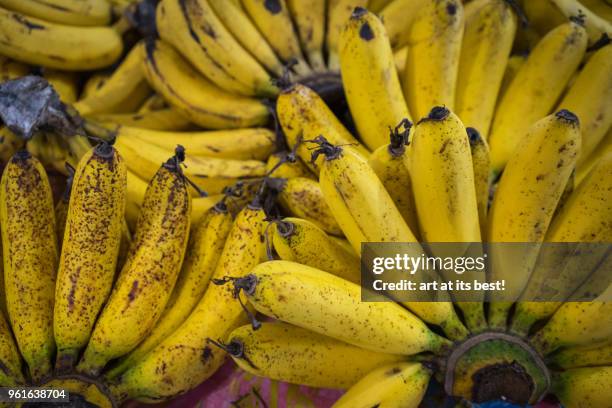 yellow bananas - kota bharu stock pictures, royalty-free photos & images