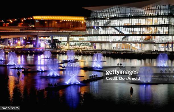 The light and laser installation named 'Fantastic Oceans' is viewed in Darling Harbour during a media preview for Vivid Sydney on May 23, 2018 in...