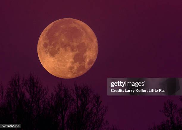 Large Moon 5,783 Large Moon Stock Photos, High-Res Pictures, and Images - Getty Images