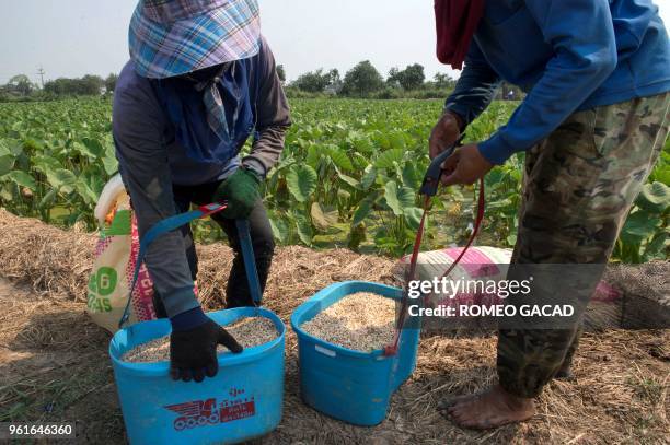 This picture taken on March 13, 2018 shows Thai farmers preparing to apply fertilizer on a taro field in Suphan Buri province. - Thailand was ranked...