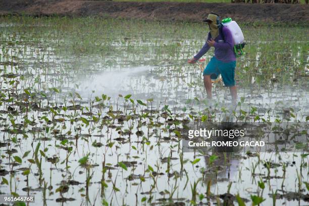 This picture taken on March 13, 2018 shows a Thai farmer spraying pesticide on a field in Suphan Buri province. - Thailand was ranked the world's...
