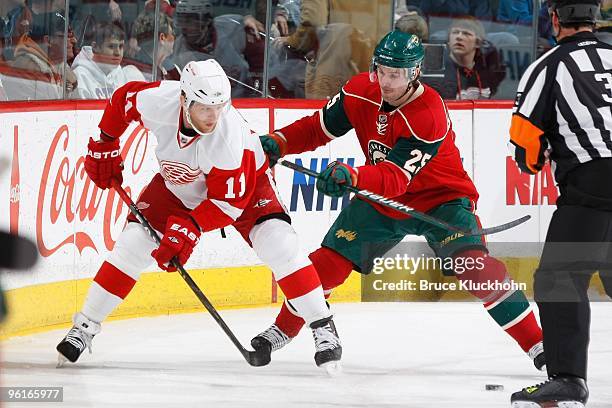 Eric Belanger of the Minnesota Wild and Daniel Cleary of the Detroit Red Wings battle for a loose puck during the game at the Xcel Energy Center on...