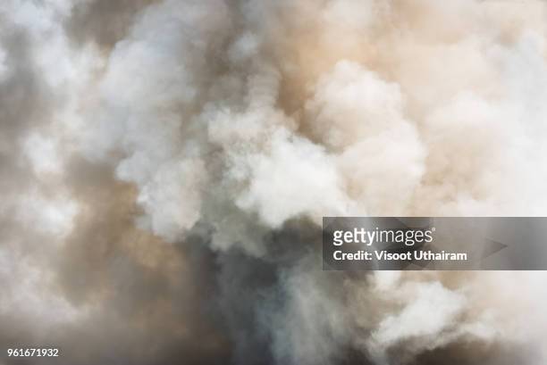 dense white smoke rising from the raging wildfire,close up swirling white smoke background. - air pollution stock pictures, royalty-free photos & images