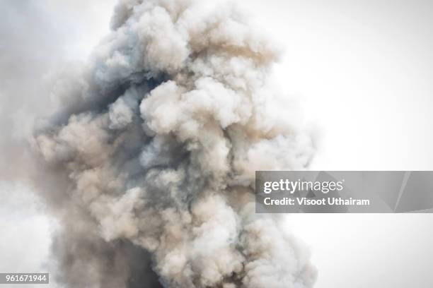 dense white smoke rising from the raging wildfire,close up swirling white smoke background. - asche stock-fotos und bilder