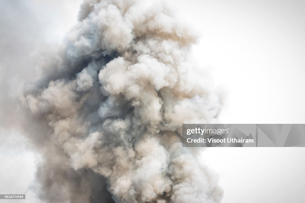 Dense white smoke rising from the raging wildfire,close up swirling white smoke background.