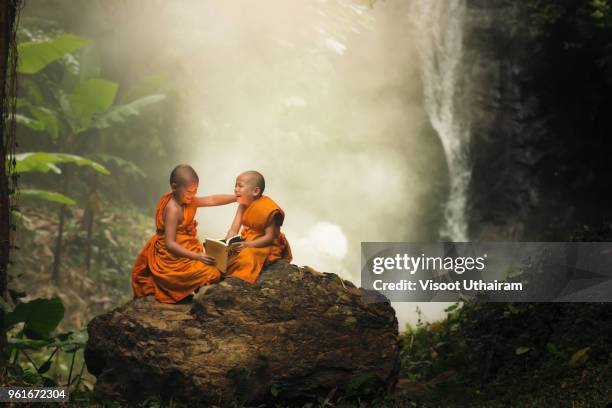 the life of a novice in the wild. - saffron robes stock pictures, royalty-free photos & images