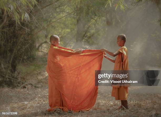 portrait little monk of laos or neophyte of laos - southeast asia stock-fotos und bilder