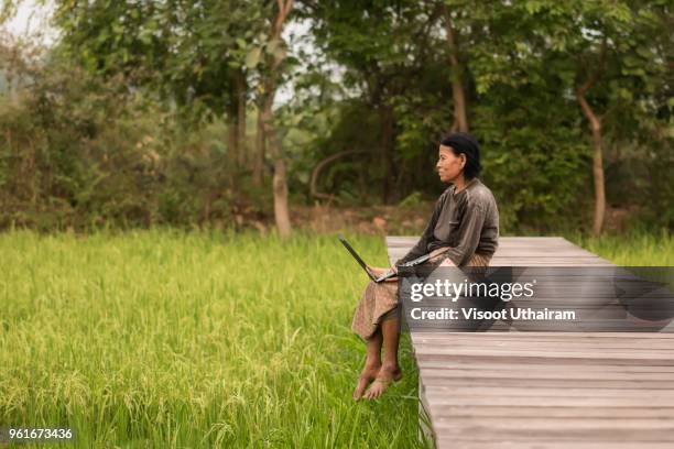 close up old asian woman use laptop in green natrue at rural. - modern vietnam imagens e fotografias de stock
