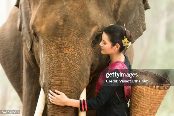 the lives of rural women with elephant - saffron robes stock pictures, royalty-free photos & images