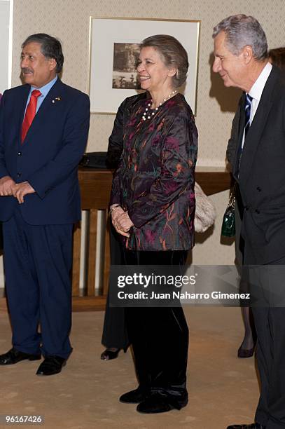 Princess Irene of Greece attends a classical music concert to celebrate the 25th anniversary of the 'Reina Sofia Chamber Orchestra' on January 25,...