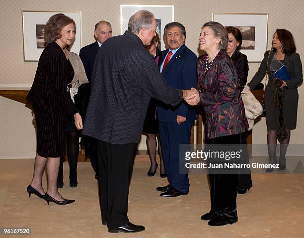 Princess Irene of Greece attends a classical music concert to celebrate the 25th anniversary of the 'Reina Sofia Chamber Orchestra' on January 25,...