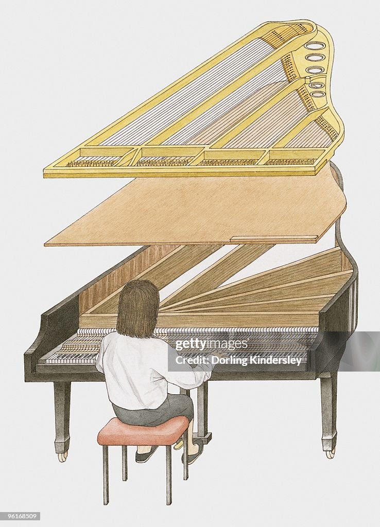 Cross section illustration of woman playing grand piano showing how sound is produced