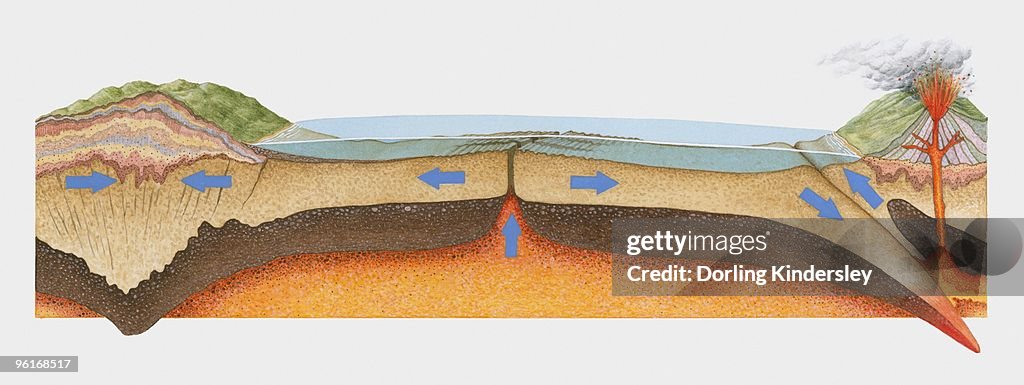 Plate Motion Examples Illustration Of Plate Movement High-Res Vector Graphic - Getty Images