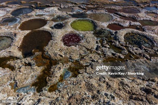 Musht 1,331 Mud Fish Stock Photos, High-Res Pictures, and Images - Getty Images