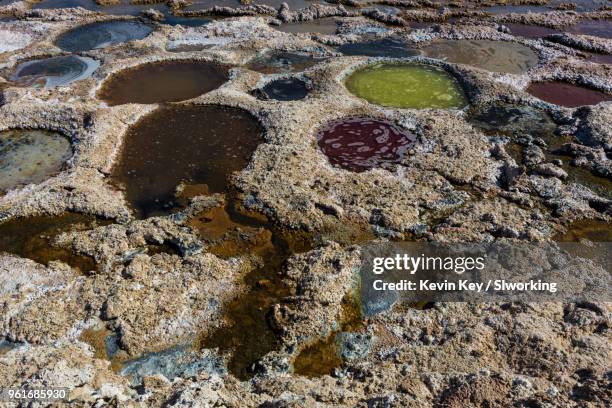 Musht 1,416 Mud Fish Stock Photos, High-Res Pictures, and Images - Getty Images