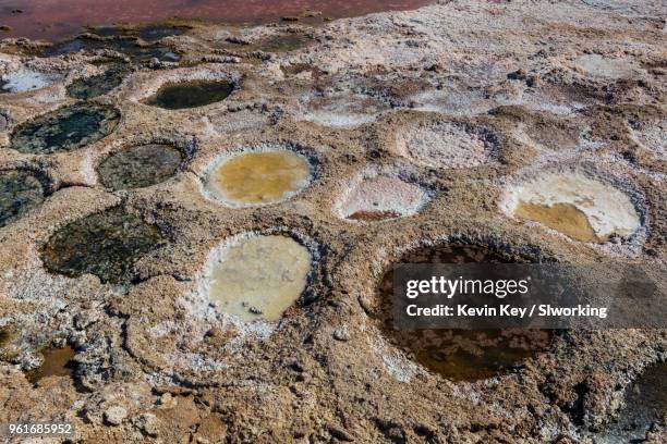 Musht 1,416 Mud Fish Stock Photos, High-Res Pictures, and Images - Getty Images