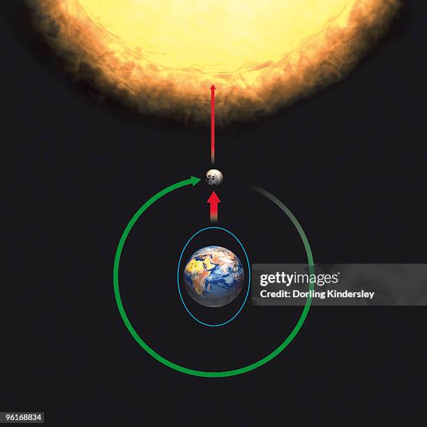 illustration of the factors causing spring tides, sun in line with earth and moon, adding the sun's  - gezeiten stock-grafiken, -clipart, -cartoons und -symbole