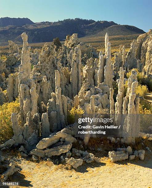 Carbote Rocks 500 Sedimentary Carbonate Rock Stock Photos, High-Res Pictures, and ...