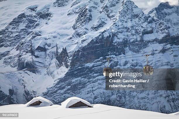 gondola ski lift passing in front of the wetterhorn mountain, grindelwald, jungfrau region, bernese oberland, swiss alps, switzerland, europe - wetterhorn stock pictures, royalty-free photos & images