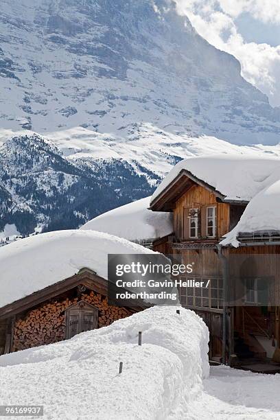 grindelwald and the wetterhorn mountain, jungfrau region, bernese oberland, swiss alps, switzerland, europe - wetterhorn stock pictures, royalty-free photos & images