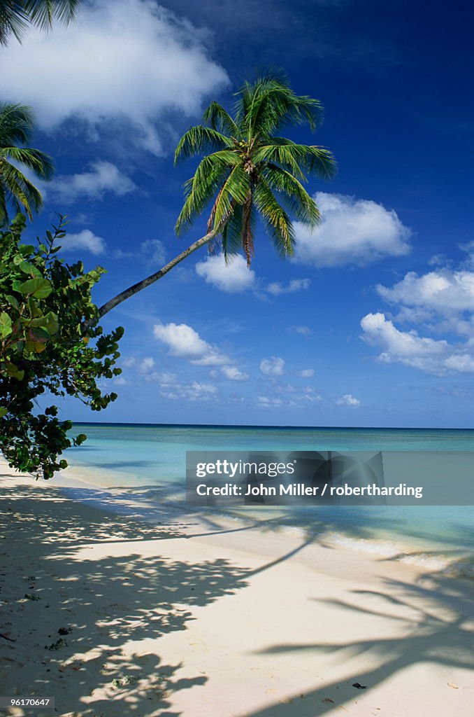 Pigeon Point, Tobago, West Indies, Caribbean, Central America