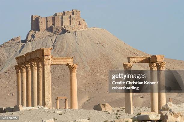 qala'at ibn maan citadel castle and archaelogical ruins, palmyra, unesco world heritage site, syria, middle east - maan stock pictures, royalty-free photos & images