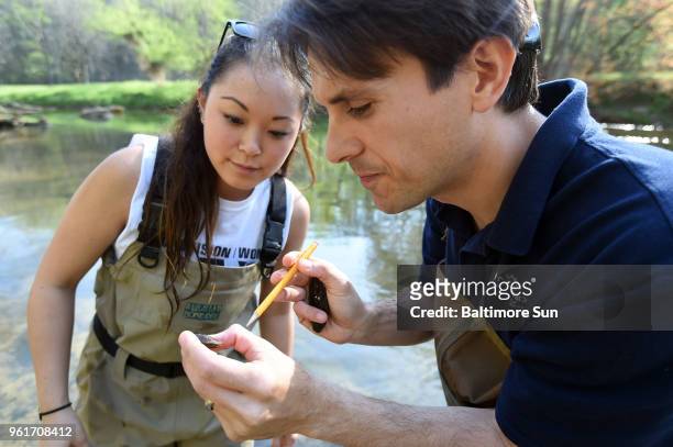 Matt Ashton, Maryland Department of Natural Resources biologist, and Jennifer Tam, Chesapeake Conservation Corps, check the gender of an Eastern...
