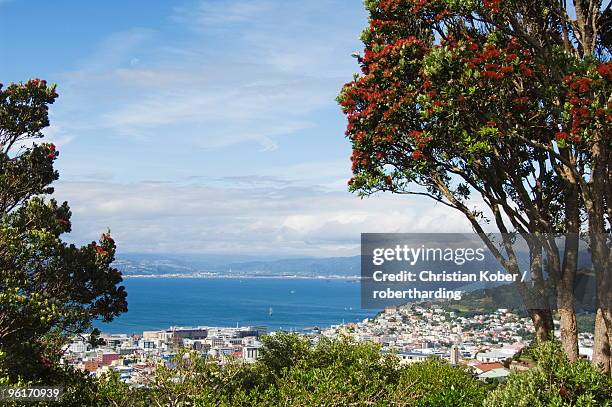 panoramic city centre view overlooking oriental bay and wellington harbour, wellington, north island, new zealand, pacific - wellington harbour stock pictures, royalty-free photos & images