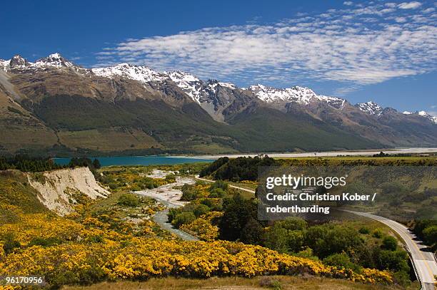 bright summer flowers and snow capped mountains near queenstown, otago, south island, new zealand, pacific - (1763) stockfoto's en -beelden