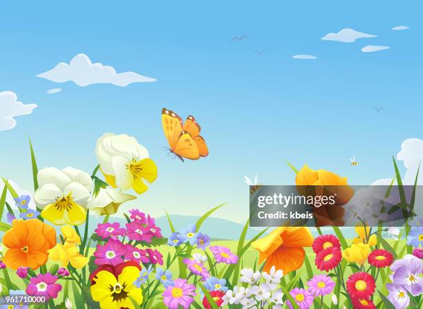 beautiful blooming meadow - bee flower stock illustrations