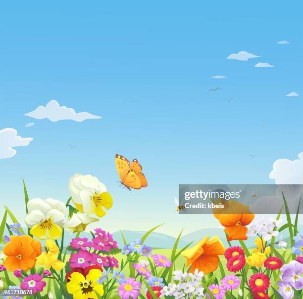 blooming meadow under a blue sky - sunny meadow stock illustrations