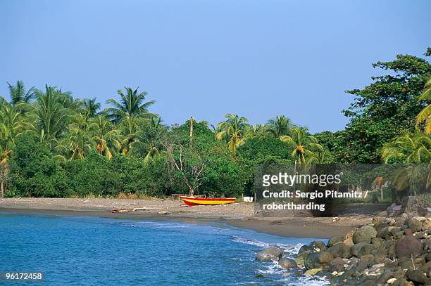 beach near port antonio, jamaica, west indies, central america - ポートアントニオ ストックフォトと画像