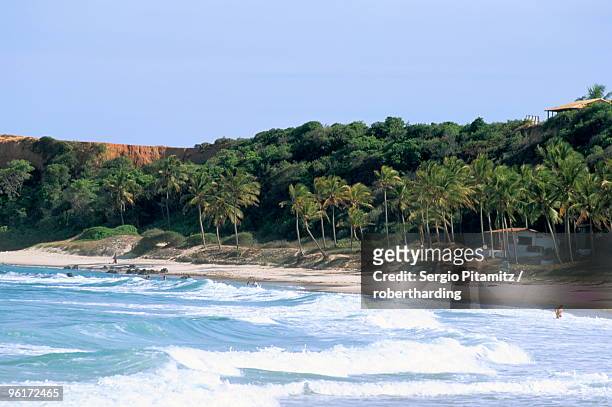 praia do amor, pipa, natal, rio grande do norte state, brazil, south america - praia do norte stock-fotos und bilder