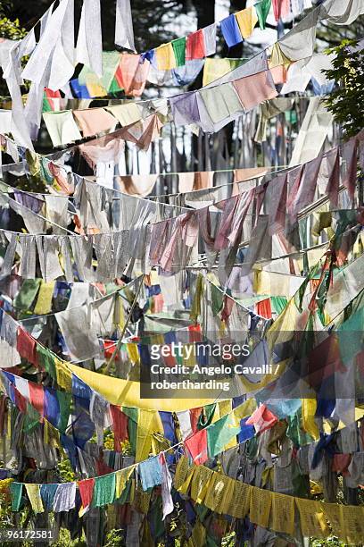 prayer flags, druk wangyal chorten, bhutan, asia - druk 個照片及圖片檔