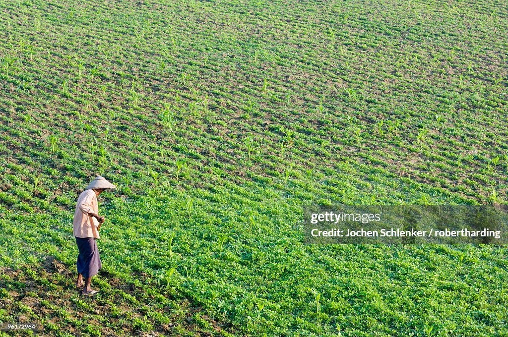 Farmer, Amarapura, Myanmar (Burma), Asia