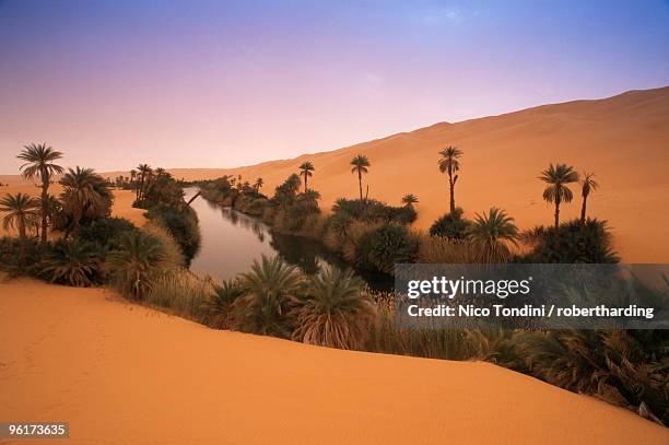 oum el ma lake, mandara valley, southwest desert, libya, north africa, africa - mandara lakes stock pictures, royalty-free photos & images