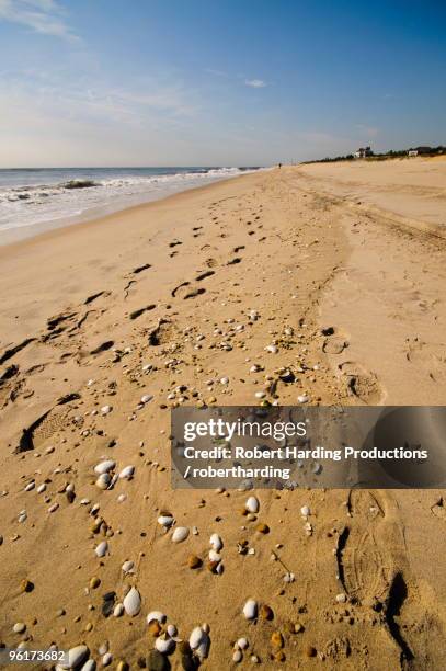 main beach, east hampton, the hamptons, long island, new york state, united states of america, north america - main beach east hampton stock pictures, royalty-free photos & images